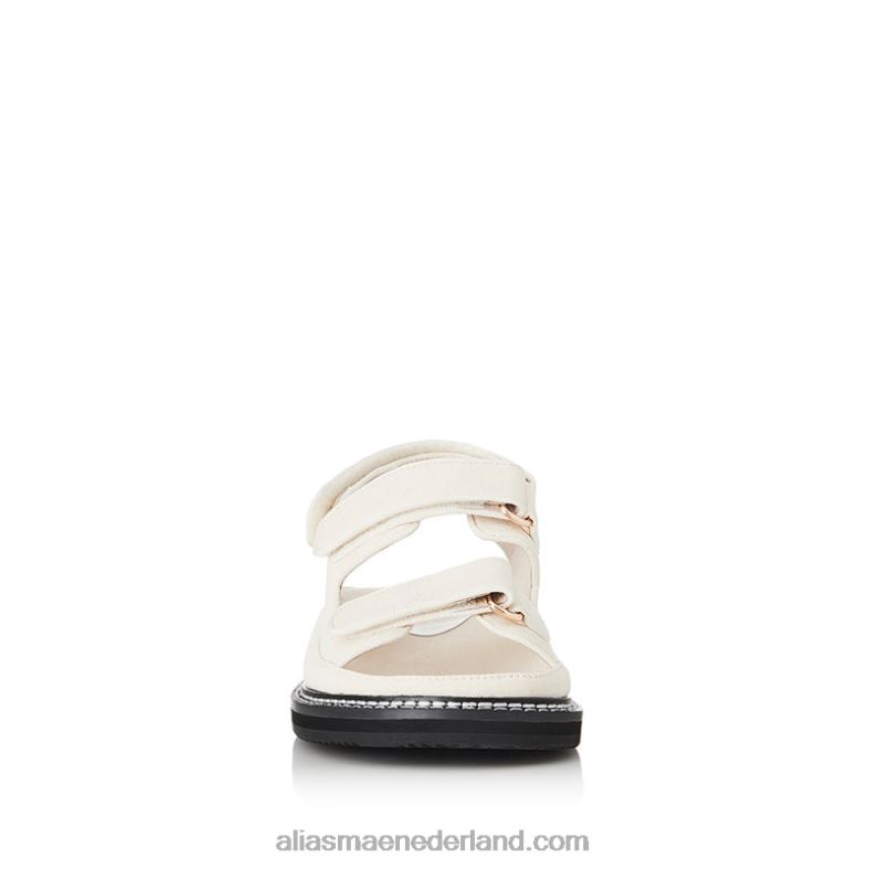 Alias Mae pascal DNT8D176 bot canvas